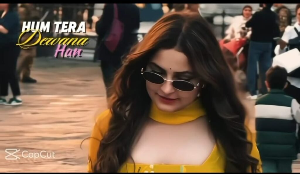 Viral Song Hum Tere Deewane Hain CapCut Template